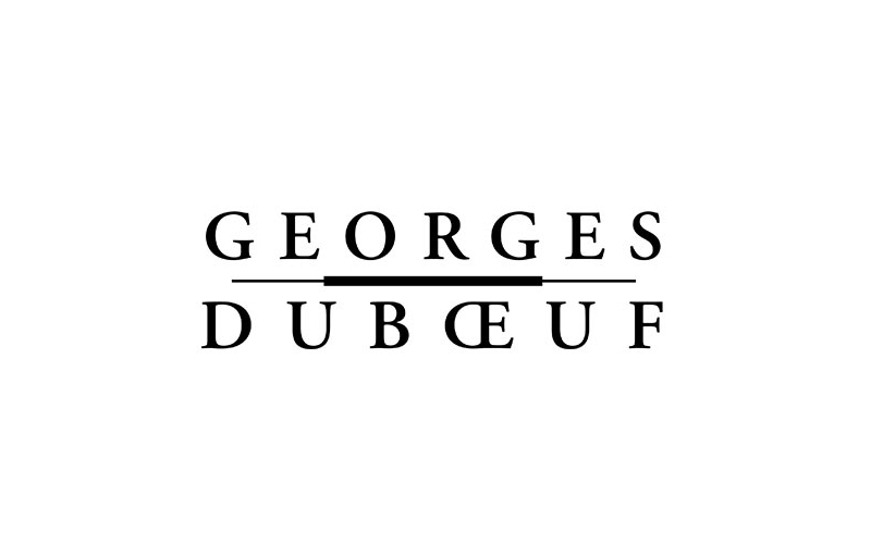 Georges Duboeuf - Création de site Skilz