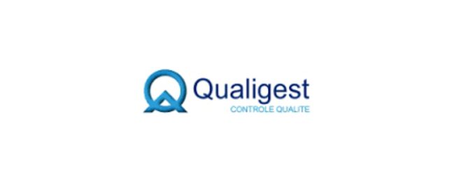 Qualigest - Stratégie marketing Internet Skilz