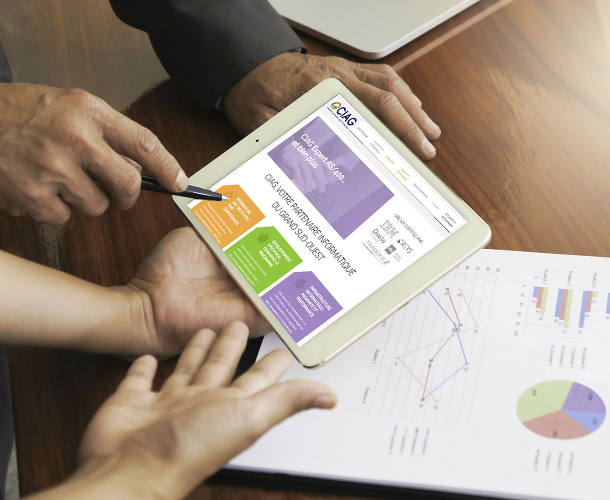 Consultant digital pour la SSII CIAG
