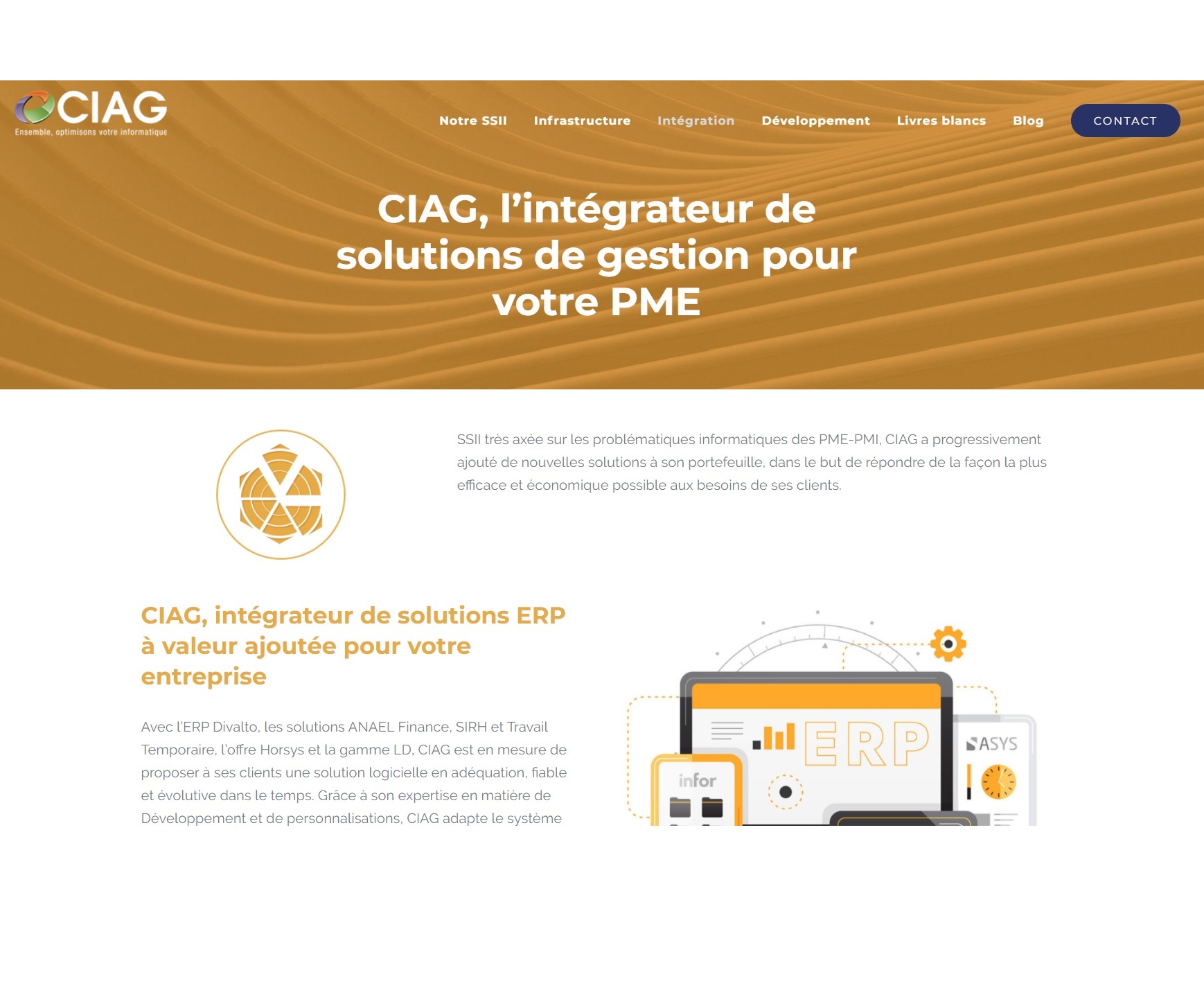 Communiquer pour le web – Le cas d’une SSII